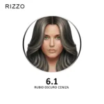 6.1 Rubio Oscuro Ceniza
